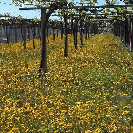 Bodega-enoturismo Lagar De Besada Casa de Campo